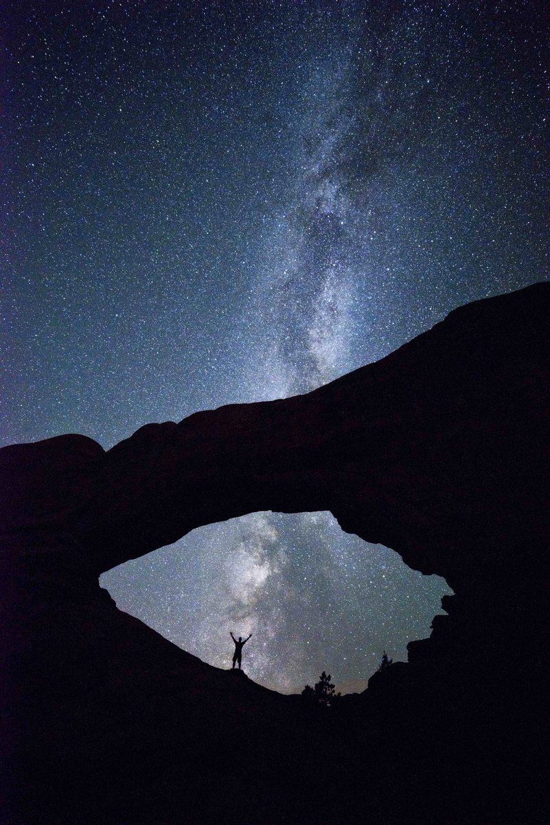 Nature Space (@naturespace_) on Twitter photo 