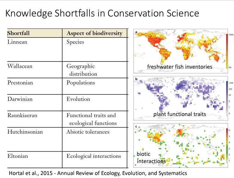 MaasBea's tweet photo. CALL FOR PAPERS for our new special issue about "Knowledge Shortfalls in Conservation Sciences" to be published in Biological Conservation

So exciting to organize this with @JaviNori3 @FernandaTBrum &amp; @FabroVillalobos - get in touch!

Submit until 16 Nov
PLS RT 🙏 More here 👇 https://t.co/JiIsO4Acyu