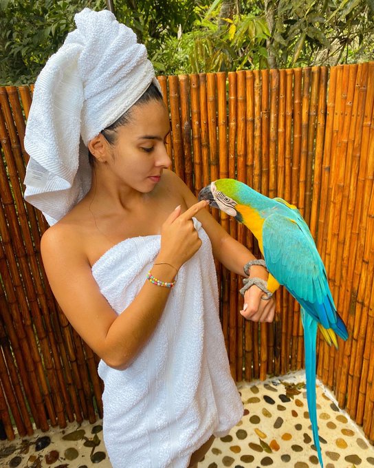 Inside the jungle https://t.co/MUwcCoScV0<a href="/tag/nuevafotodeperfil"class="tags"><span>#nuevafotodeperfil</span></a>