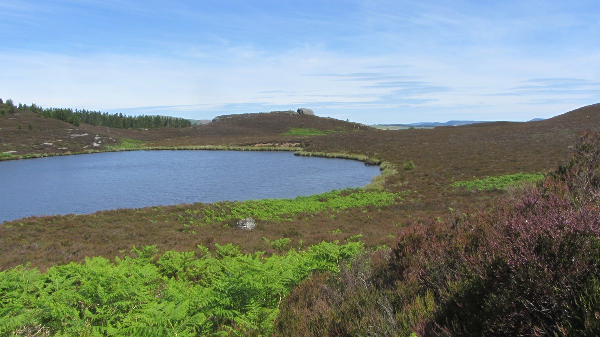 MarekBidwell's tweet photo. 3e: I then trudged north through pathless heather in growing heat to be greeted by Harbottle Lake - a blue, cool oasis. This called for a long swim, then lunch. Beyond the lake is the erratic #DrakeStone, a favourite destination in @NlandNP normally approached from the east.π§΅/36 https://t.co/k1LyIYixIT