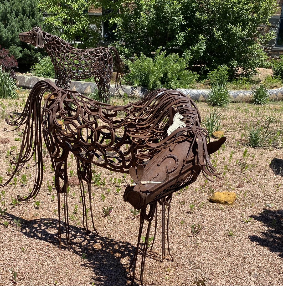 Sharon Salmons tweet media