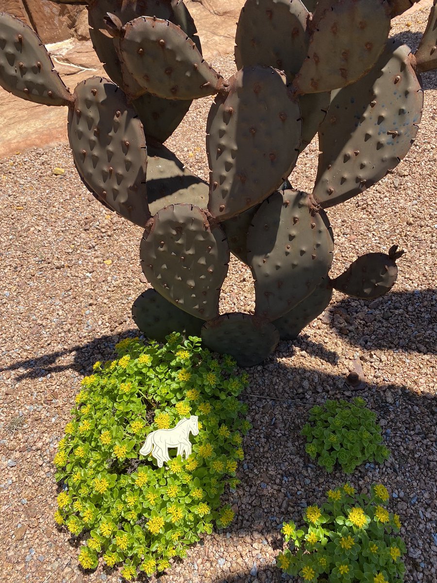 Sharon Salmons tweet media