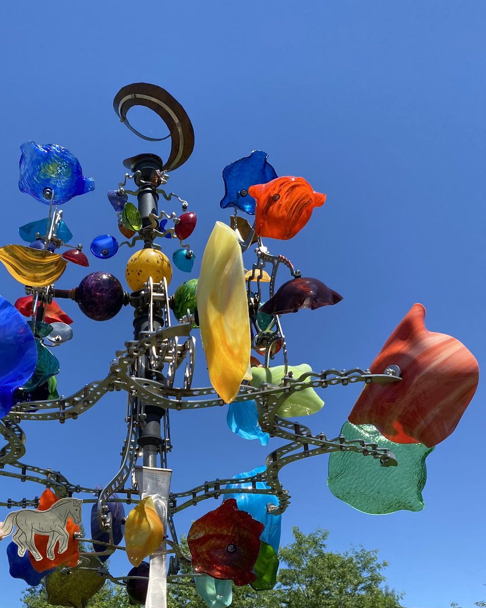 Sharon Salmons tweet media