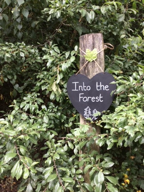 Lakeside_school's tweet photo. Mrs Britcliffe has been revamping our Forest School area - it looks amazing! Thank you #forestschool #outdoorlearning #makingimprovements https://t.co/RCrY1UZtUS