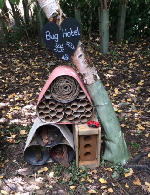 Lakeside_school's tweet photo. Mrs Britcliffe has been revamping our Forest School area - it looks amazing! Thank you #forestschool #outdoorlearning #makingimprovements https://t.co/RCrY1UZtUS