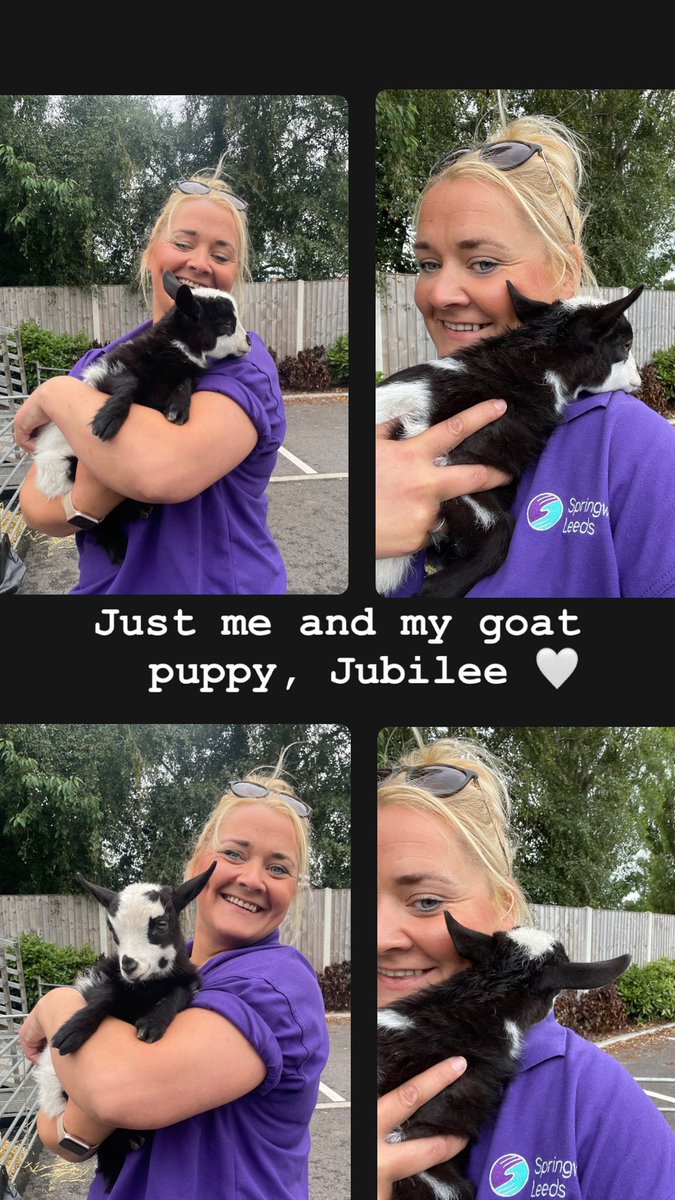 DanikaPriim's tweet photo. When you’re torn between which kids to hang with today!!!
This little one lives inside with the dogs 🤍
#StandardDay
#OnTheFarm https://t.co/ojlHpANqQG