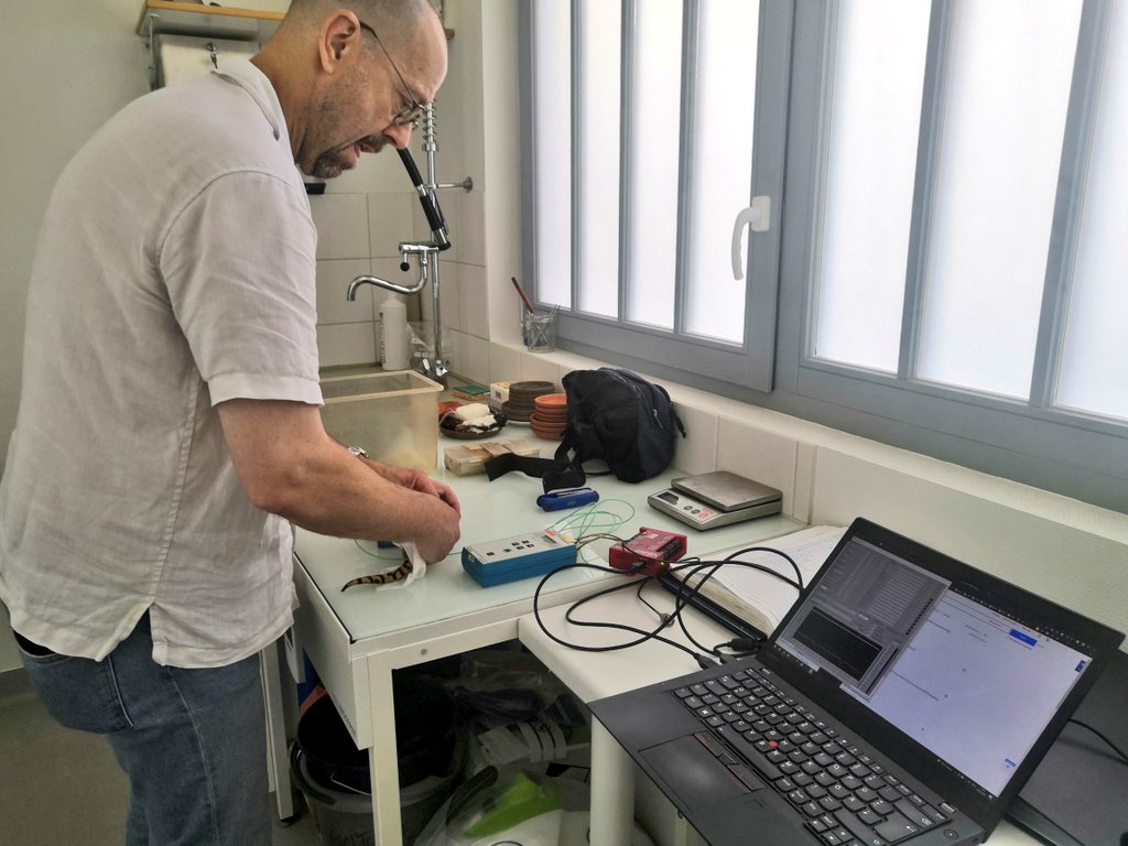 Peter T. Rühr @peter-t-ruehr.bsky.social tweet media