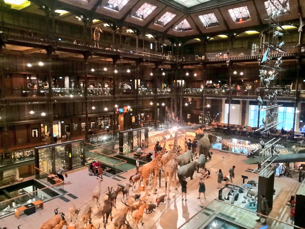 Peter T. Rühr @peter-t-ruehr.bsky.social tweet media