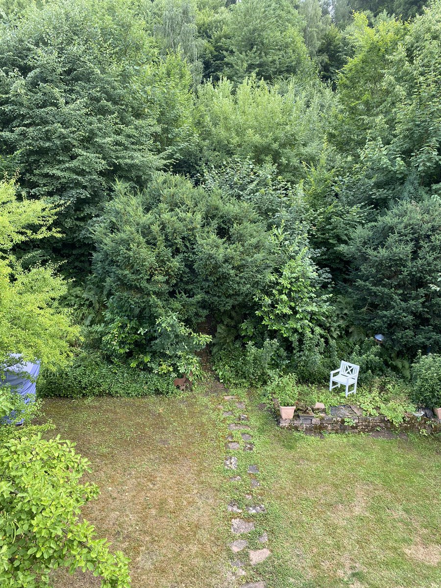 TheDrunkenStor1's tweet photo. Decided to see if the path in the garden went anywhere….it did not…much disappoint…I lack the sight I feel 😭 #fae #faerie #woods #forbiddenpath #mystical https://t.co/1Fy5jBYPmr