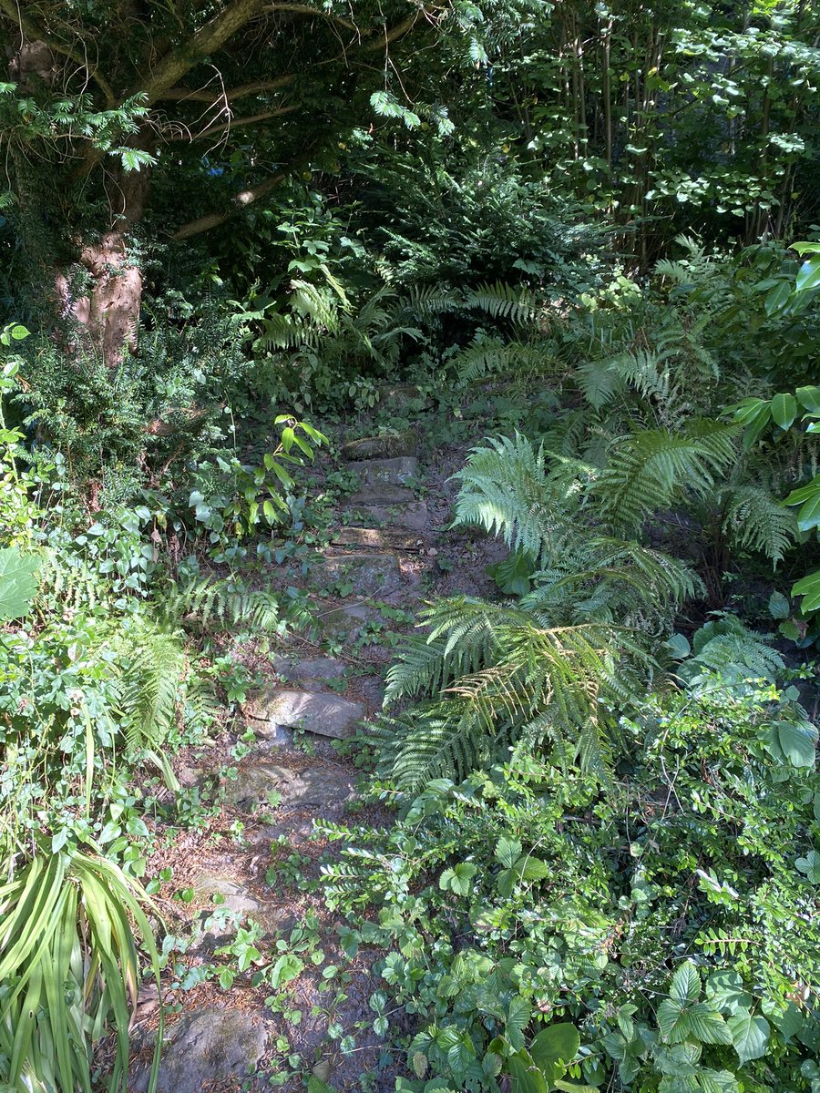 TheDrunkenStor1's tweet photo. Decided to see if the path in the garden went anywhere….it did not…much disappoint…I lack the sight I feel 😭 #fae #faerie #woods #forbiddenpath #mystical https://t.co/1Fy5jBYPmr