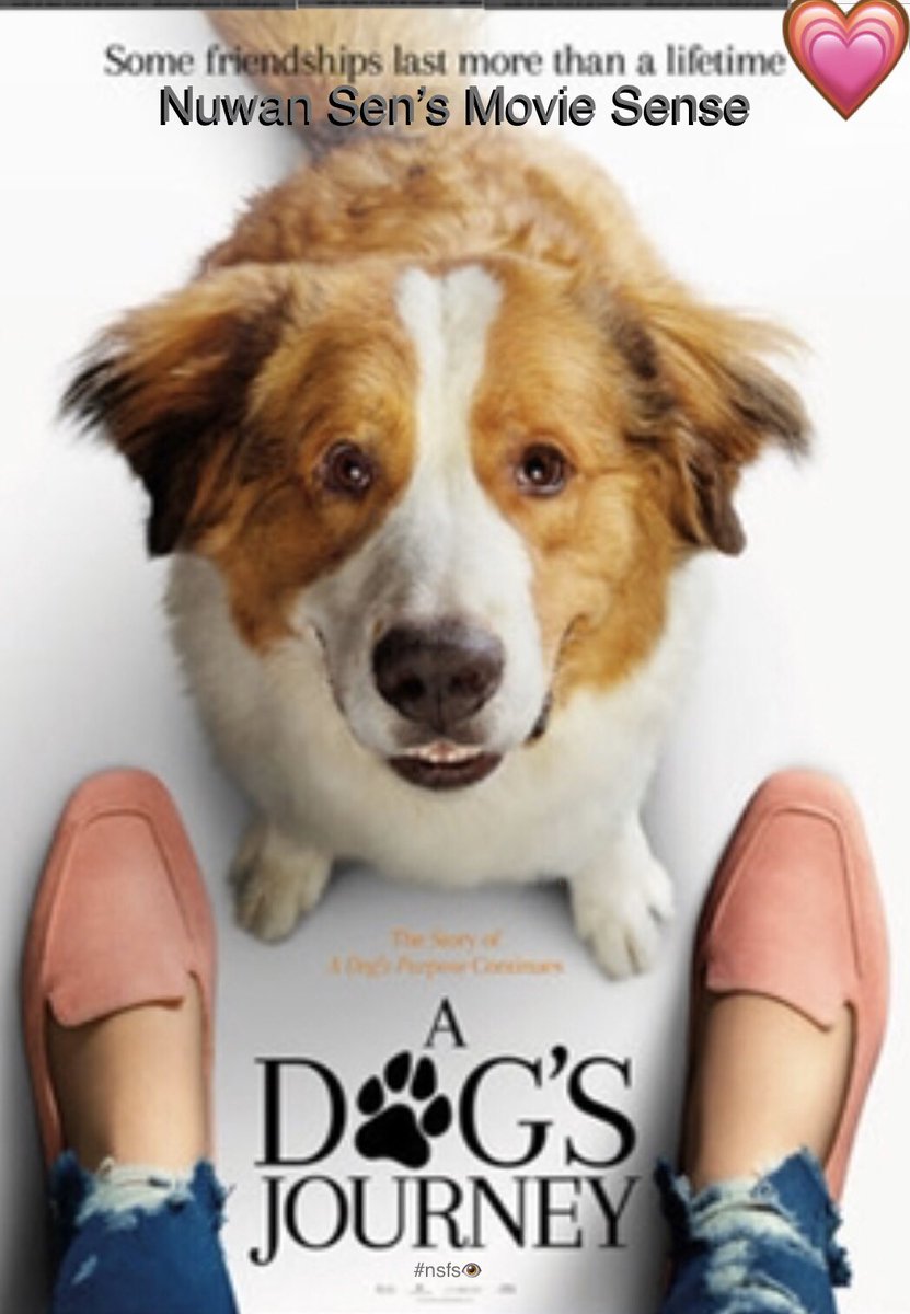 Nuwansenfilmsen's tweet photo. ..an unrealistically mushy sequence towards #theEnd,that made #the realization of #Baileys #rebirth to #Clarity a tad silly,unbelievable&cheesy,#ADogsJourney(2019)is still an amazing movie!A #nearExcellent #Sequel!9/10!More of a #fairyTale element here than it’s predecessor!#nsfs https://t.co/yEoMM26srP