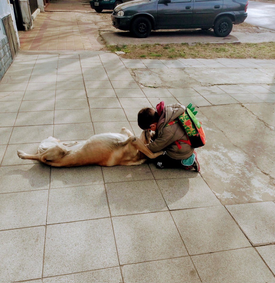 JimeMartinezzz's tweet photo. ¿Por qué llegamos tarde al jardín?
PORQUE SALUDA A CADA MASCOTA DEL BARRIO https://t.co/WuqpB8yn3W