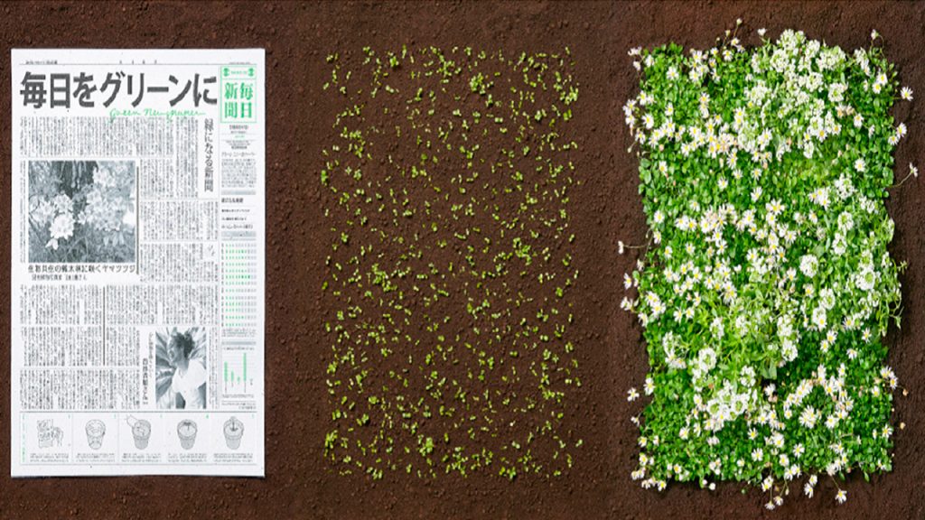 Solarpedia_'s tweet photo. Este periódico japonés puede TRANSFORMARSE en FLORES luego de leerse y cultivarse. Sigue leyendo en el link🔗 de aquí abajo​👇:
https://t.co/xJIwLxovhh https://t.co/adppSFnthN