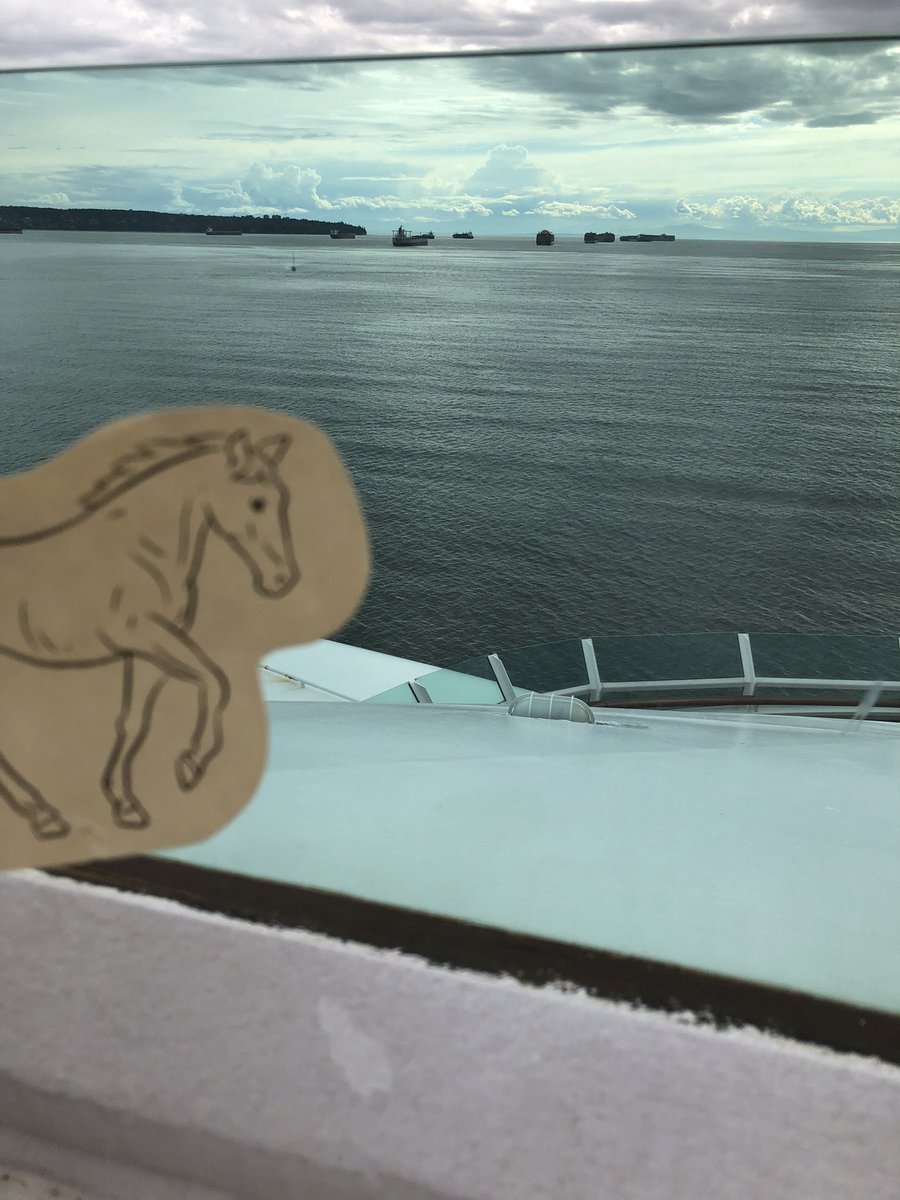 Sharon Salmons tweet media