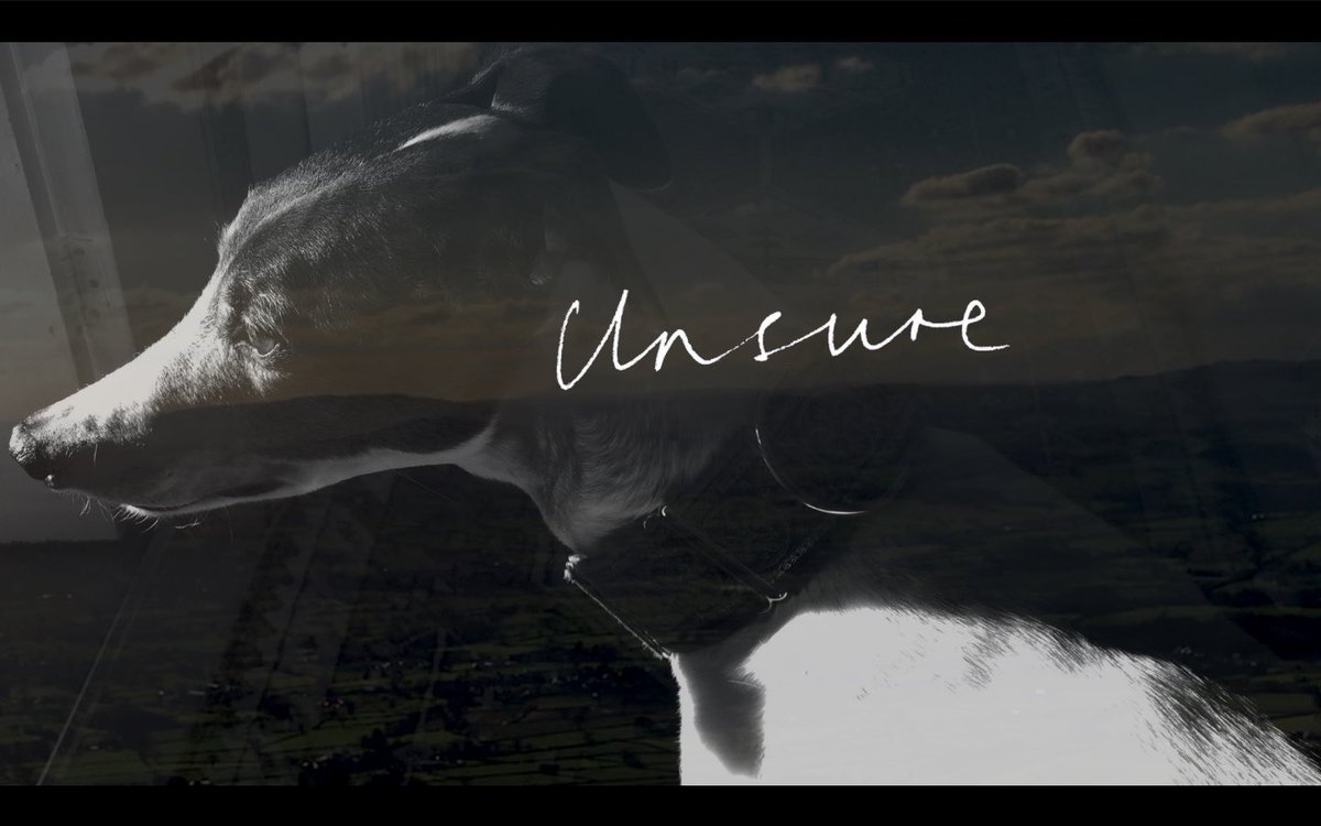 davies_lal's tweet photo. Production stills - Violet & Indigo Edit/Stories We Cannot Tell #poetryfilm #videopoetry #wordsandpictures #handwritten #poetrycommunity #poetryislife #videopoem #wordsandpictures #experimentalfilm #indiefilm #artfilm #artistfilm #artistmovingimage #movingimage #femalefilmmaker https://t.co/JW6p2qDHVn