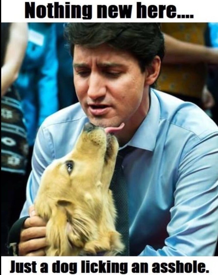 Dr. Hugh Jass Proctologist tweet media