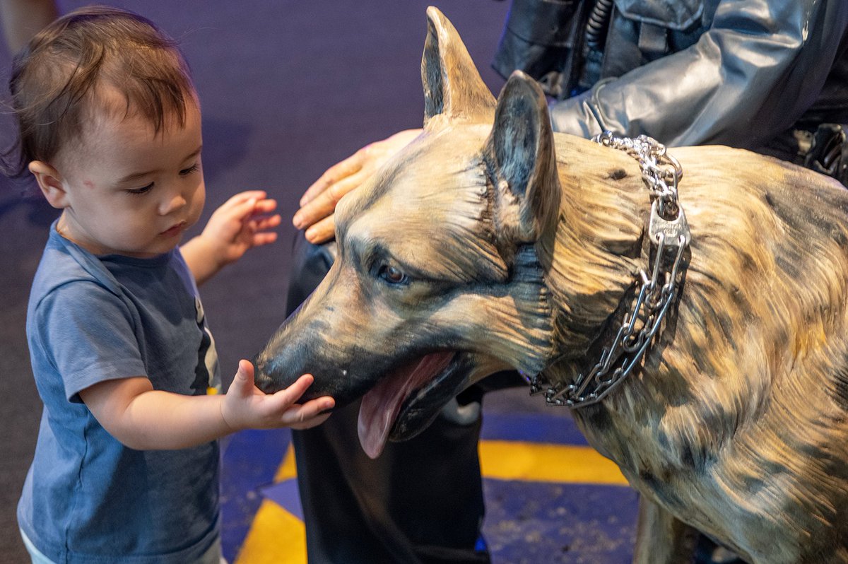NLEMuseum's tweet photo. While we wouldn't advise this with an active #K9 officer, we encourage you to explore the cast figures of real officers in the museum. 

Plan your visit: https://t.co/4CXmfjfR3w

#PoliceMuseum #KidFriendlyDC https://t.co/5yKs3poJ9s