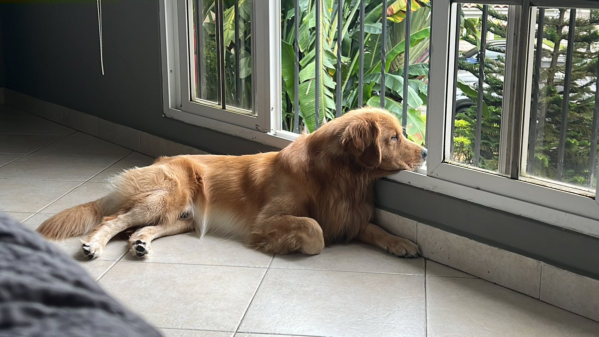 anna mae patton tweet media