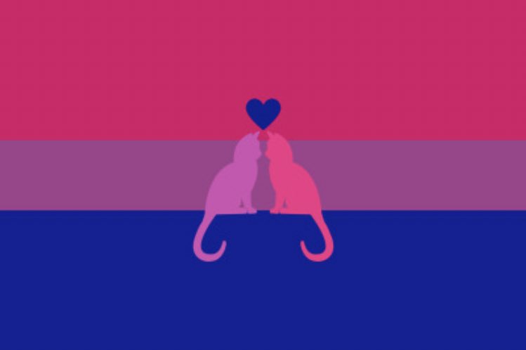 for bisexuals on Twitter: for bisexuals on Twitter: