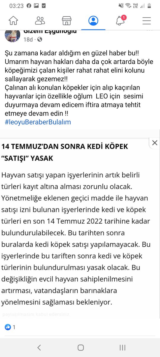 Gizem (@gizemesgunoglu) on Twitter photo 