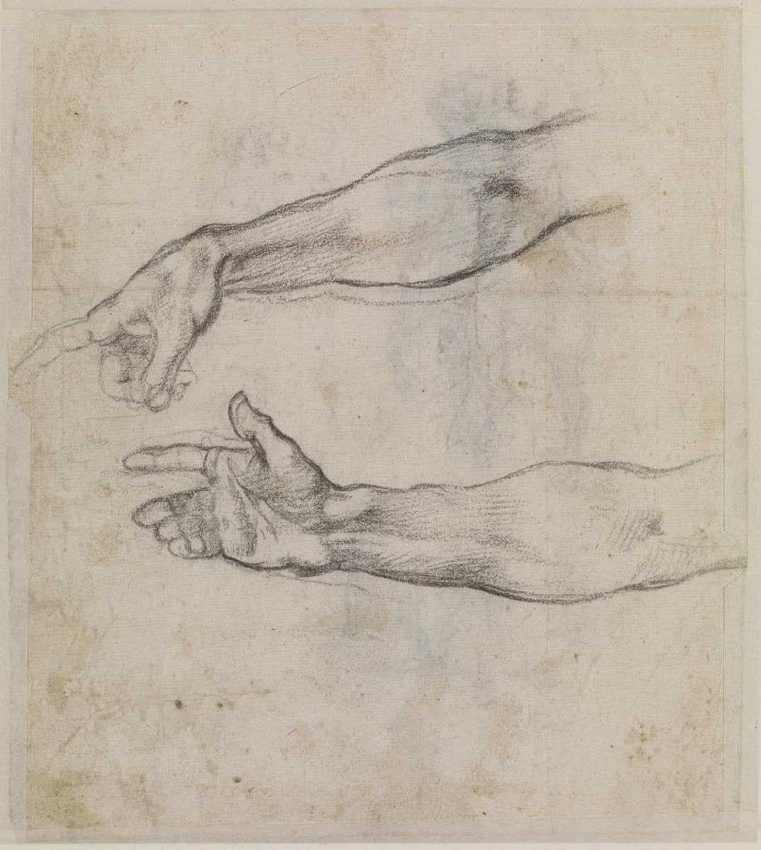 My sketches of Michelangelo’s sketches in preparation for the Creation of Adam 🥺👉🏻👈🏻 #sketch #realism #michelangelo #anatomicalart #anatomy