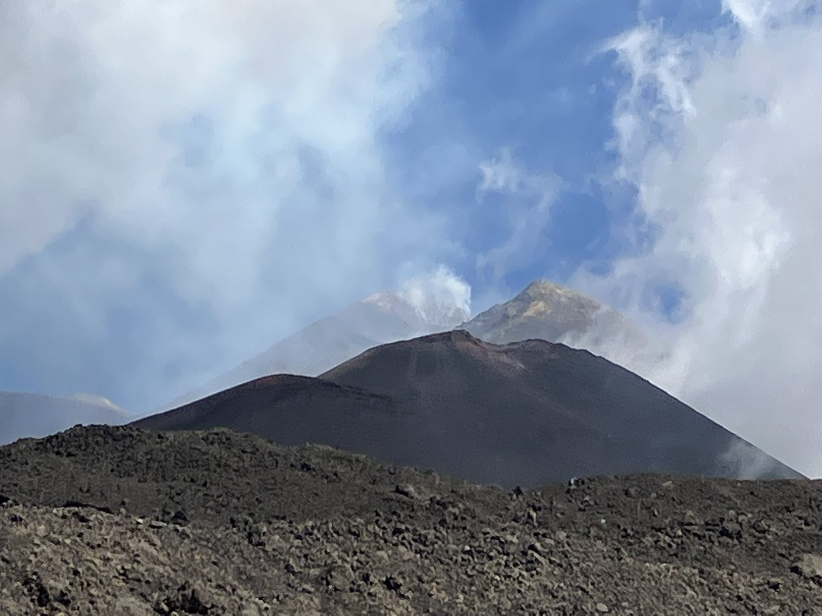 Ladybirds near the summit of Mount Etna