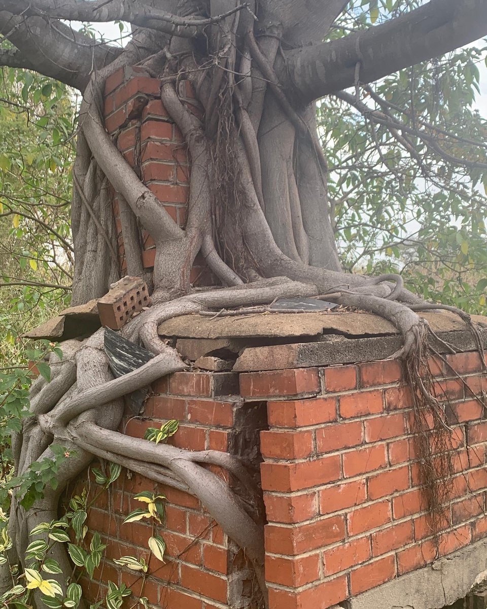 jephat chifamba (@jephatchifamba) on Twitter photo 