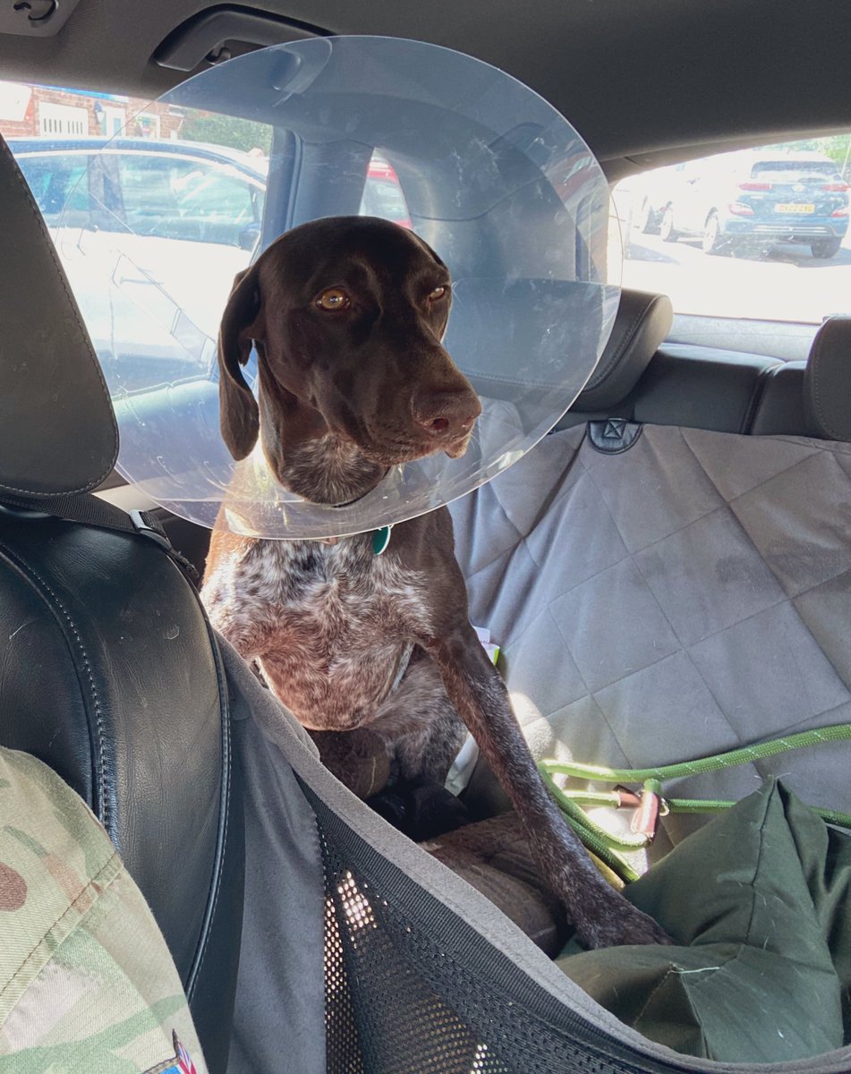 Morag M-P tweet media