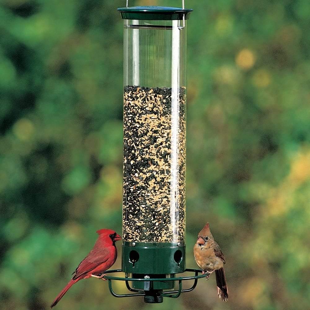 Droll_Yankees's tweet photo. The Yankee Flipper® Squirrel-Proof Bird Feeder is a motor-driven, weight-activated squirrel-proof feeder. It allows birds to eat and saves seed by keeping squirrels away. 

https://t.co/LhmC5Xt2V1 https://t.co/piVoLP5KmD