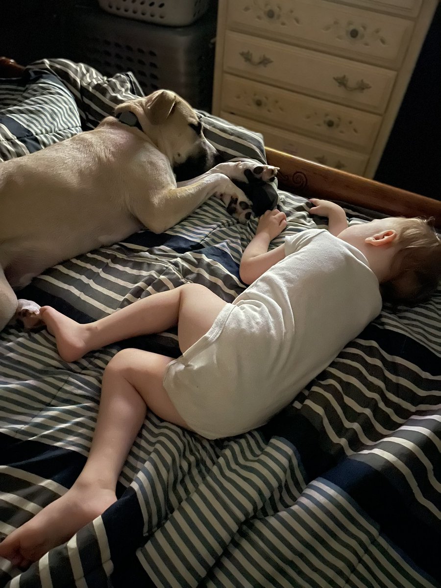 gothickornchic's tweet photo. #puppylove https://t.co/SOpgCxeTL8