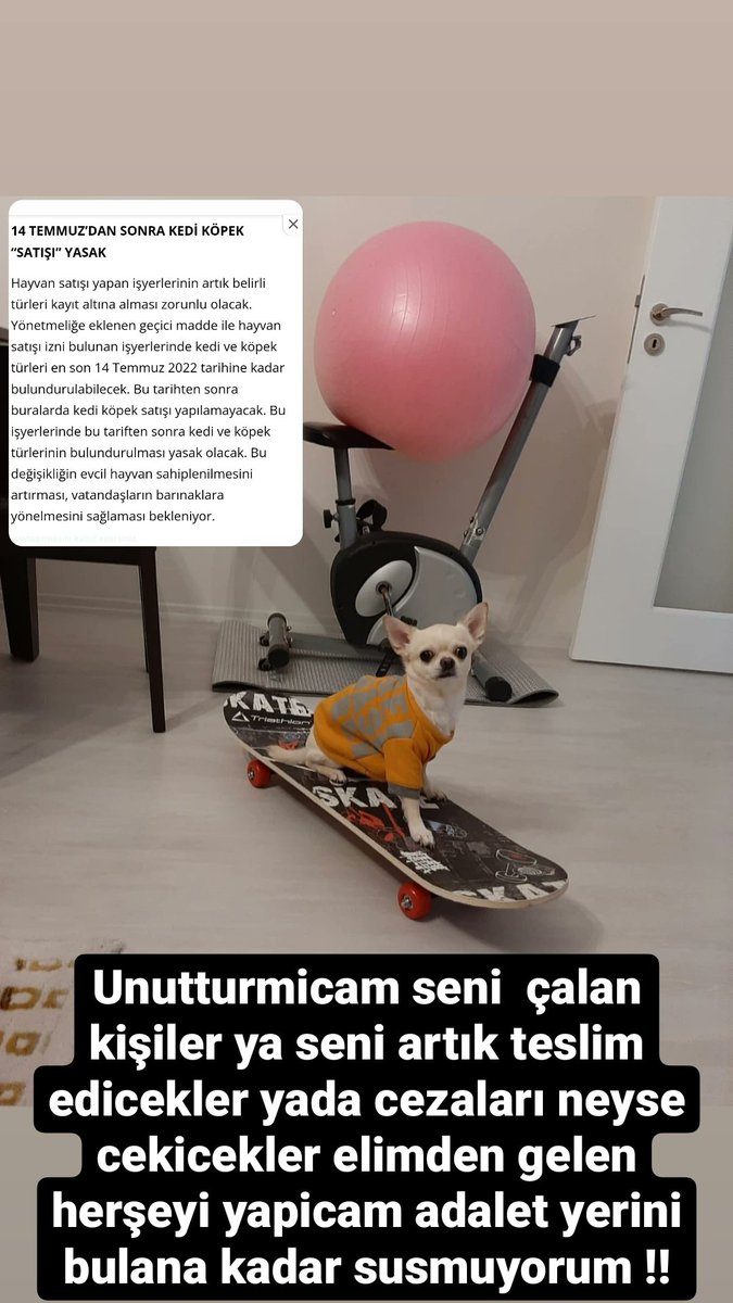 Çalıpta elimizden kaçtı süsü vermeyin susmicam okadar kolay değil baktığım canı kafaniza göre alamazsınız kaybedemezsiniz cezası neyse çekiceksiniz!!