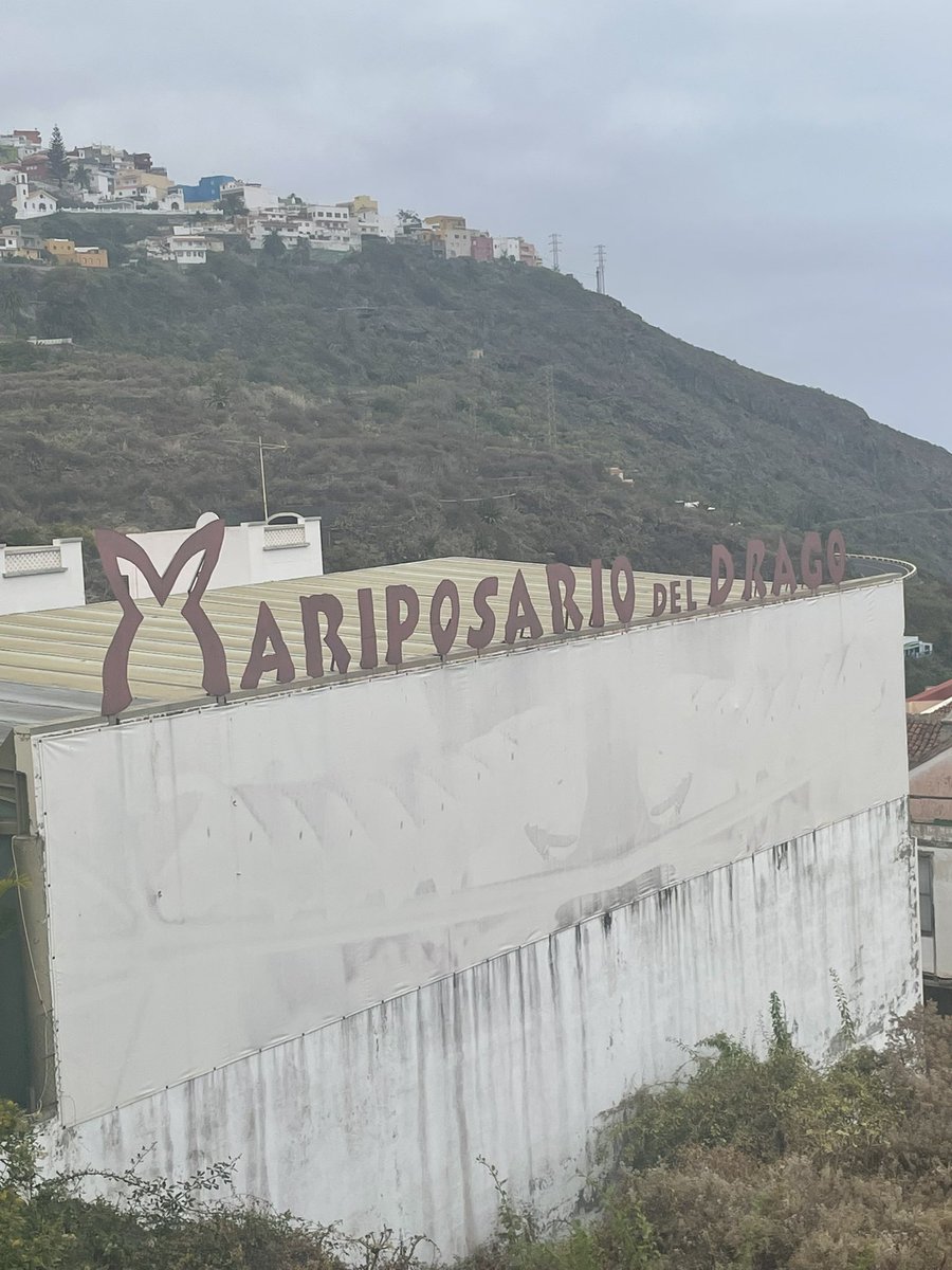 A.Negrin tweet media