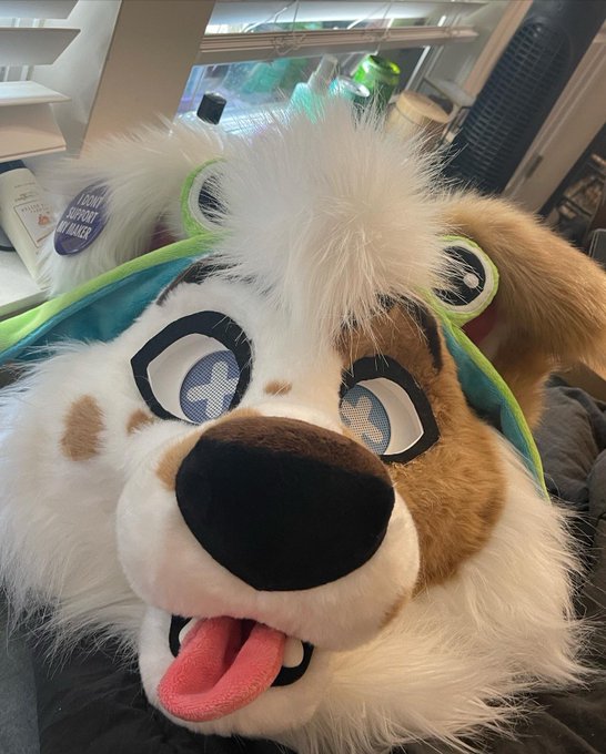 So happy to finally start changing up his awful DHC features!!! I really like his coat and fur pattern
