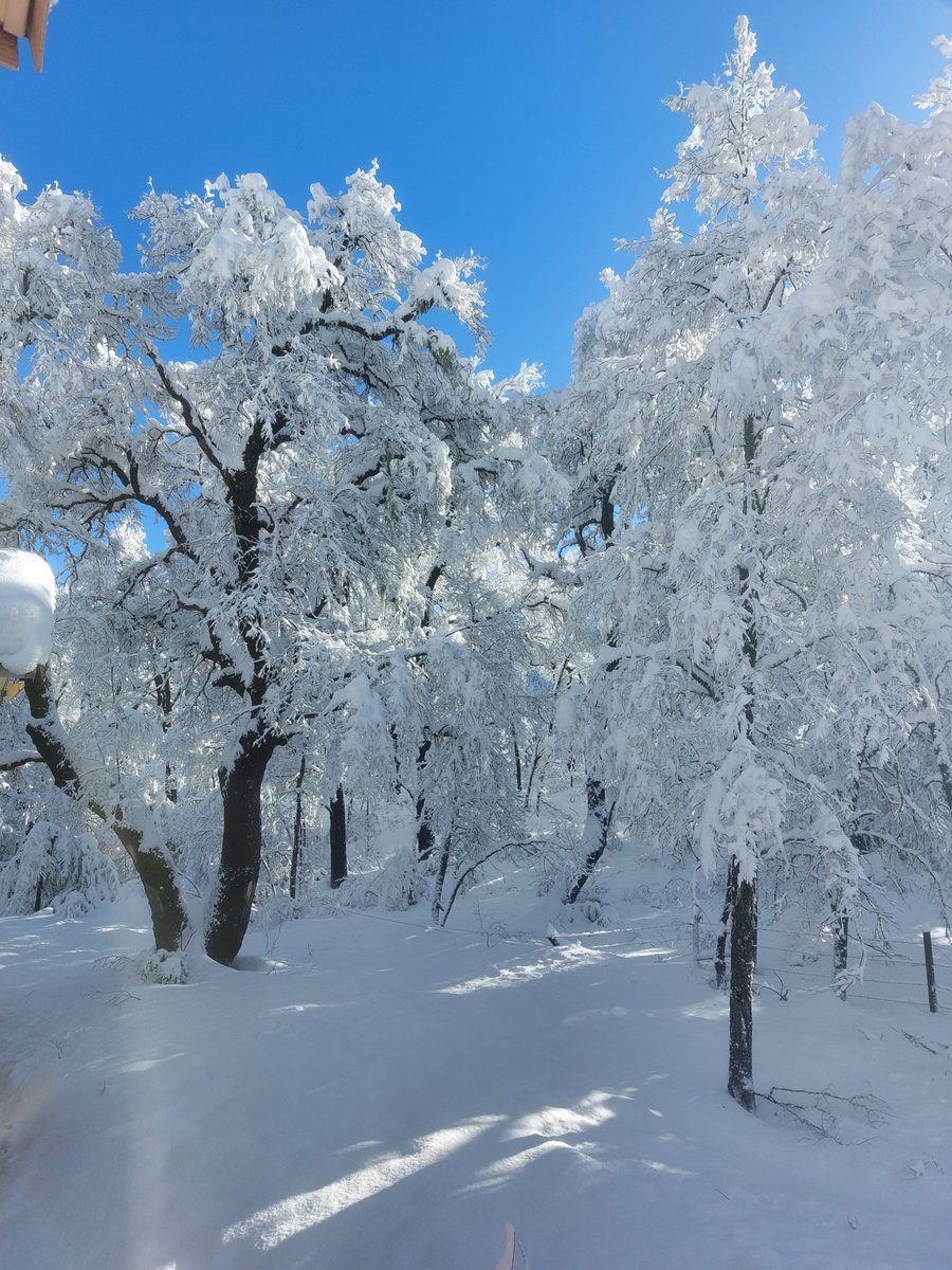 evavisual's tweet photo. @CHVNoticias Nevazón en Las atrancas https://t.co/EfGPq3J2bX