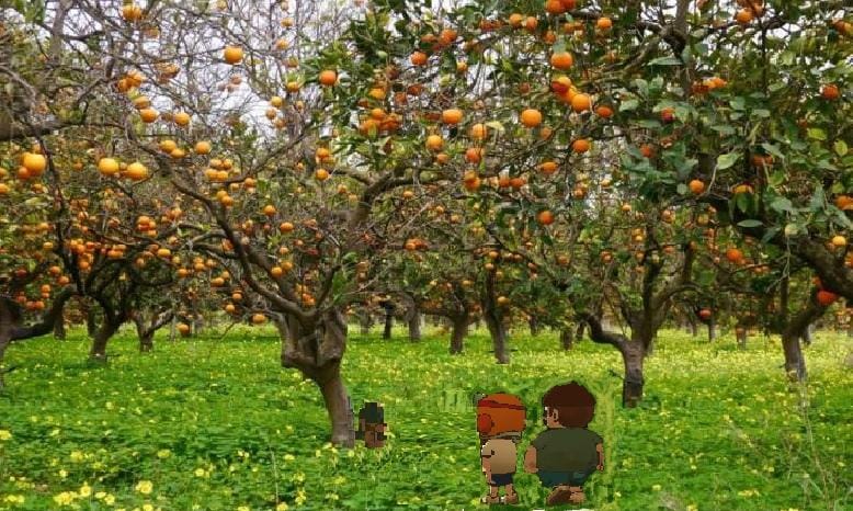 nftquuen's tweet photo. We would like to thank the whole owenge family for giving us a place in their world.
@owangenft @BrilliantLiu_ #FriendsofOwange https://t.co/fNMmp1pXvP