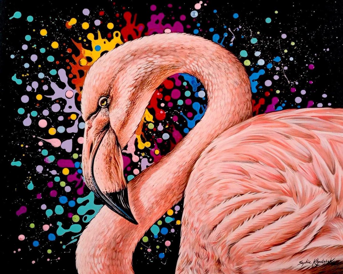 SophieKilpatri6's tweet photo. Who doesn’t love flamingos? 🦩
Heading to Creative Fine Art soon!
If you are interested in purchasing please get in touch or contact Creative to arrange a viewing…
#flamingo #originalart #freshofftheeasel #colourfulart #artgallery #ukwildlifeartist #art #homedecor https://t.co/fVhZ3TelI7