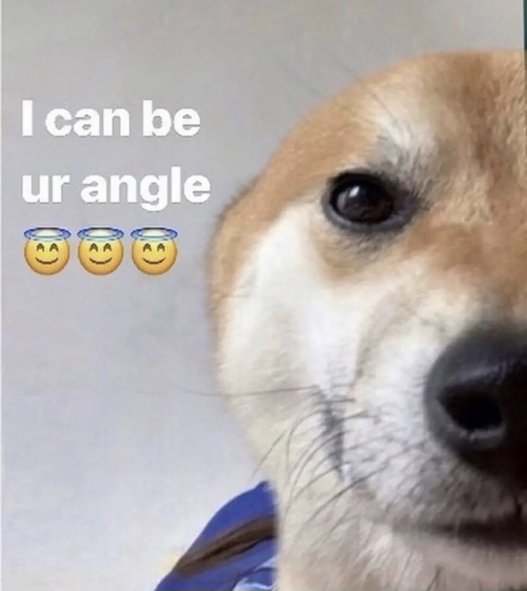 blightbind's tweet image. 