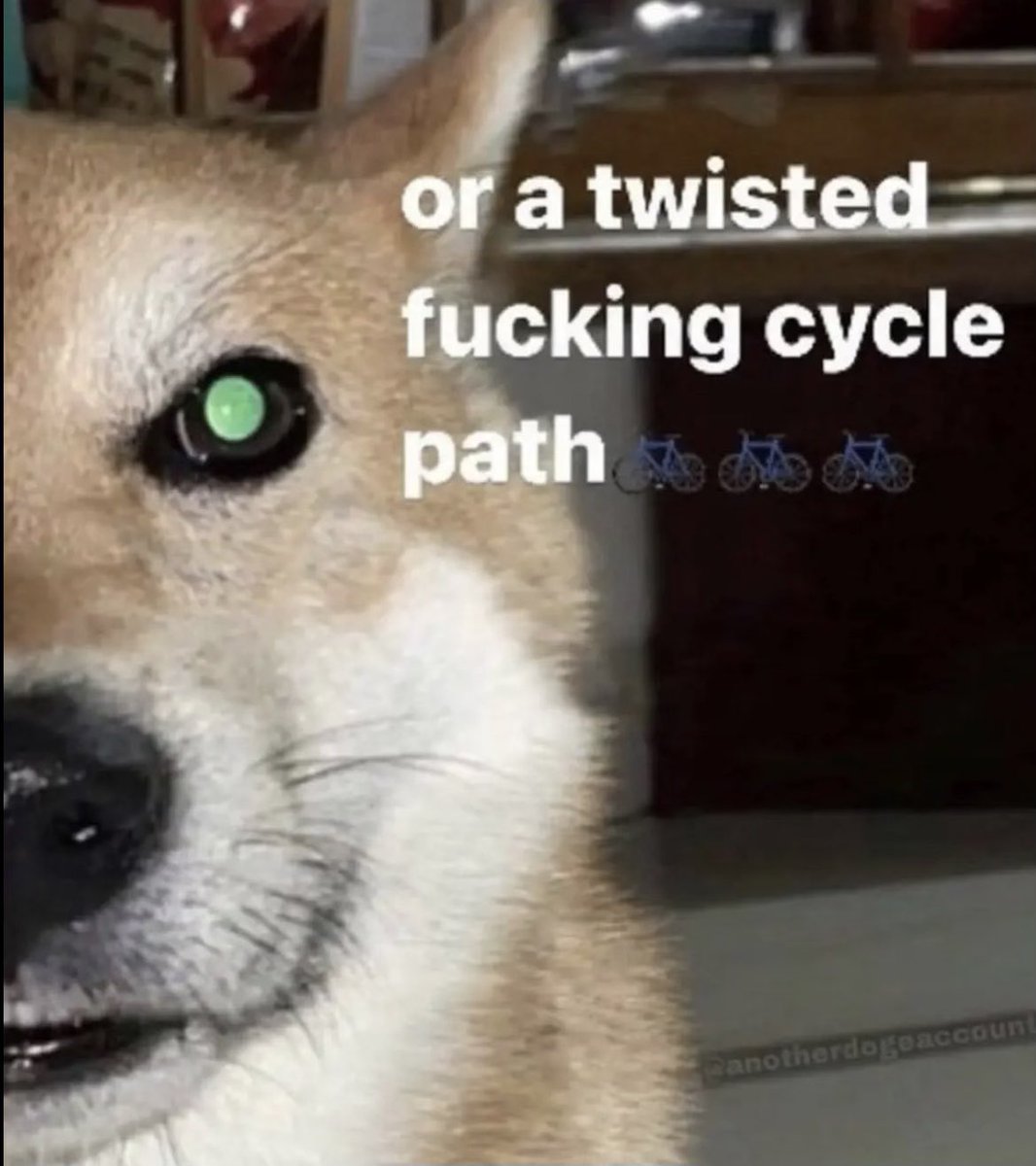 blightbind's tweet image. 