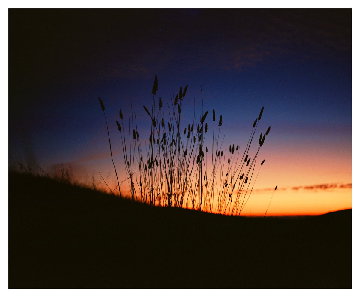 summers up on tam 🌾