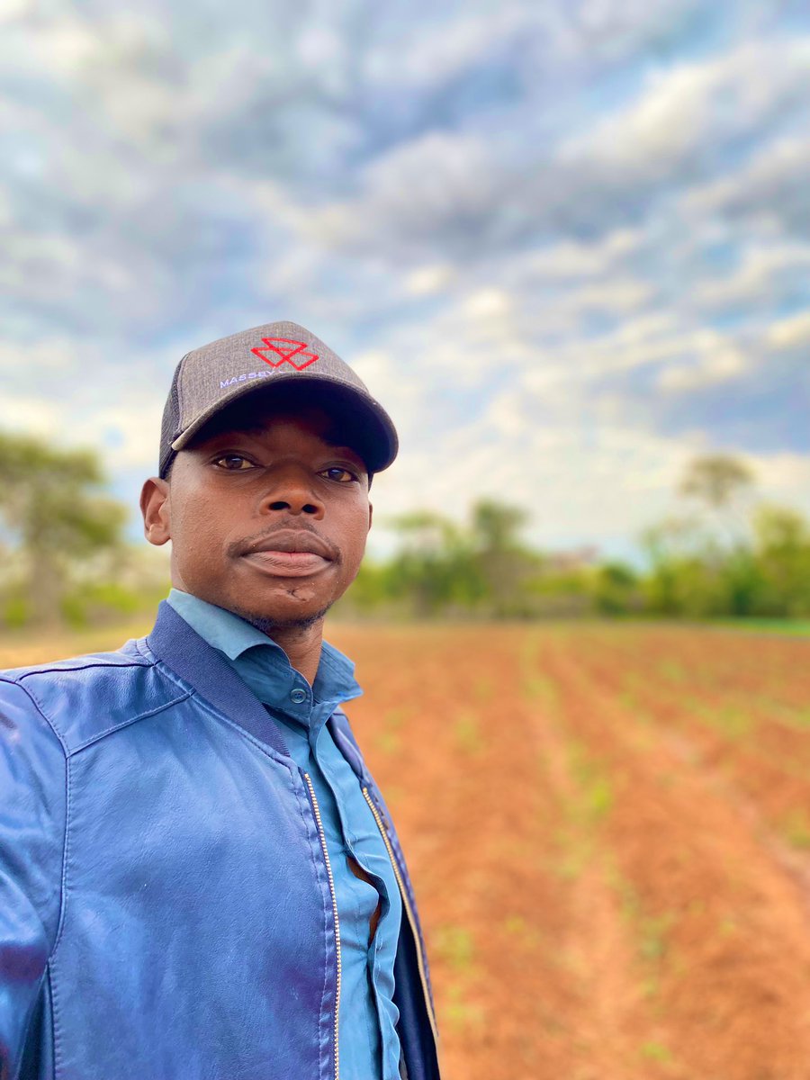 PoteDior's tweet image. Winter is going so are these crops soon. The issue of battling with high input cost,diseases pressure,escalating labor cost,All this wake you up in your cozy dream.  market behavior and trends create goose bumps.Bucket full of paranoia. Nevertheless Farming is Therapetical