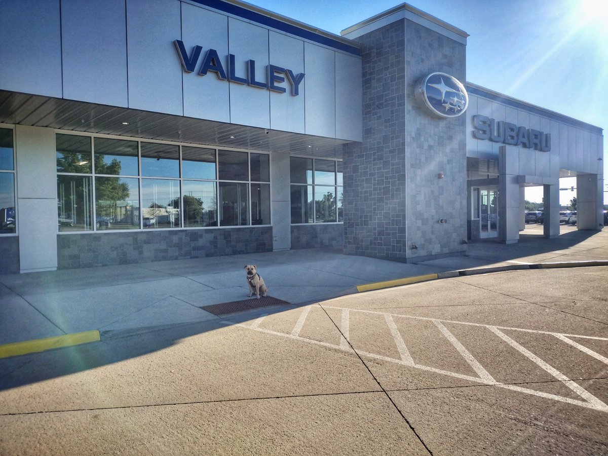 Valley_Subaru's tweet photo. Can you spot the cuteness in this photo? 🐾💙🐾 King’s dad has been bringing him into the dealership since was was a tiny little pup. We love watching him grow!
.
#Subaru #Longmont #SubaruLovesPets #SubaruDogs #SubaruFamily #Subie #SubaruLove #Boulder #LongmontColorado https://t.co/RXZ84Ph0sY