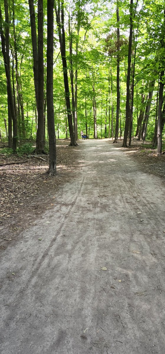 Dharghan_'s tweet image. Went for a short #trailwalk 🙂