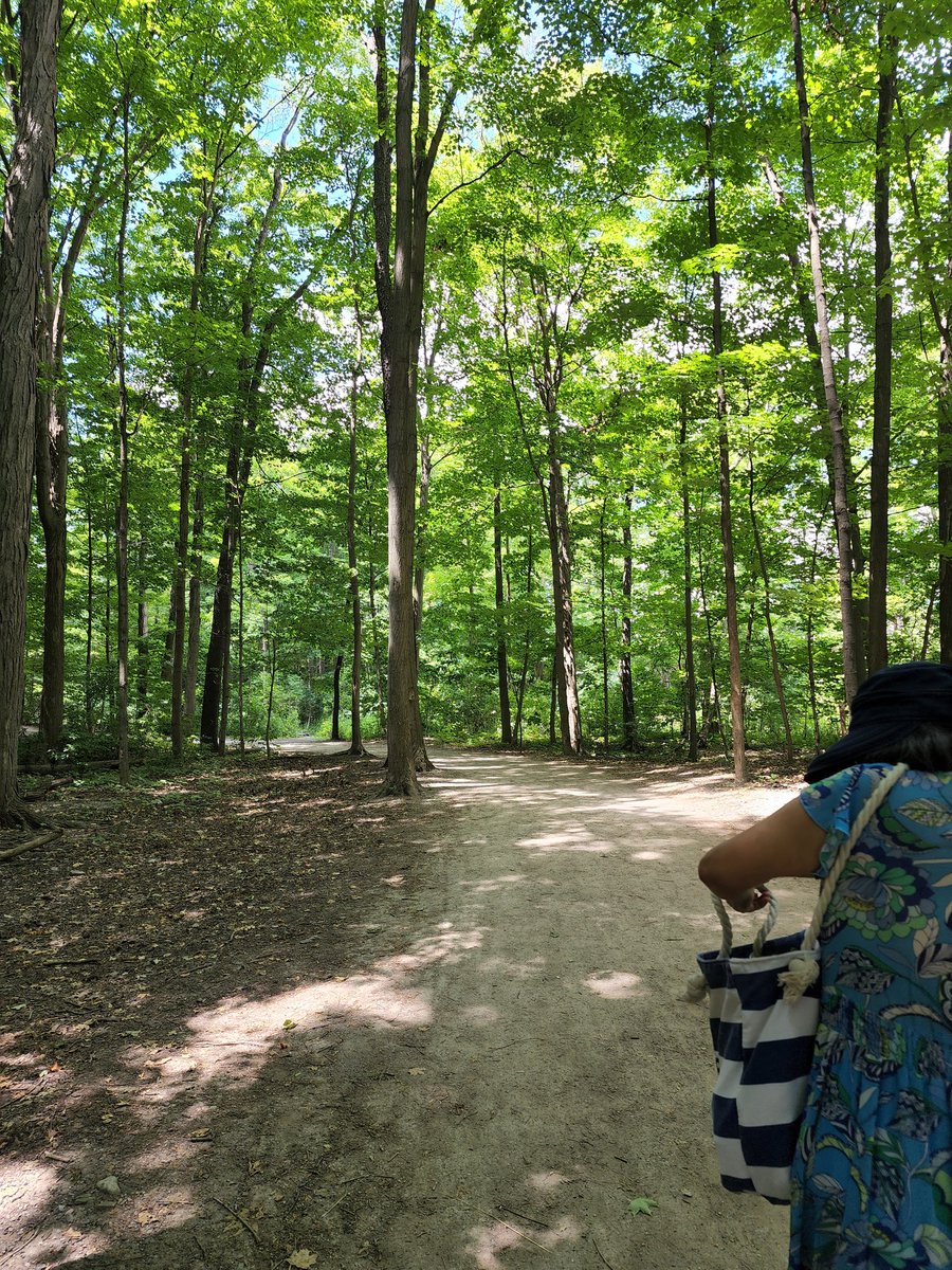 Dharghan_'s tweet image. Went for a short #trailwalk 🙂