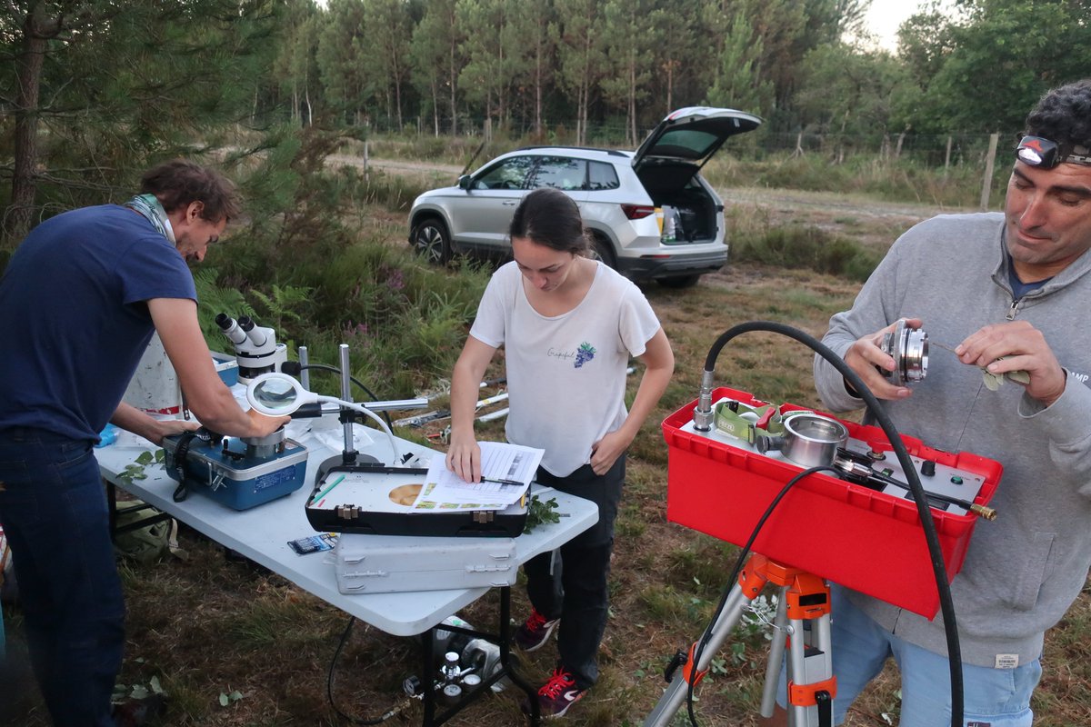 JoGuillemot's tweet photo. Typical @MixForChangeTDN day:
- 4am predawn water potential 
- 2pm midday water potential
- 4pm writing papers while heading to the beach
- 5pm surfing session
@RenaudDecarsin @NMartin_StPaul with the great help of @SDelzon and @_deborahcorso Thanks so much! https://t.co/UKXBfNaA8Q