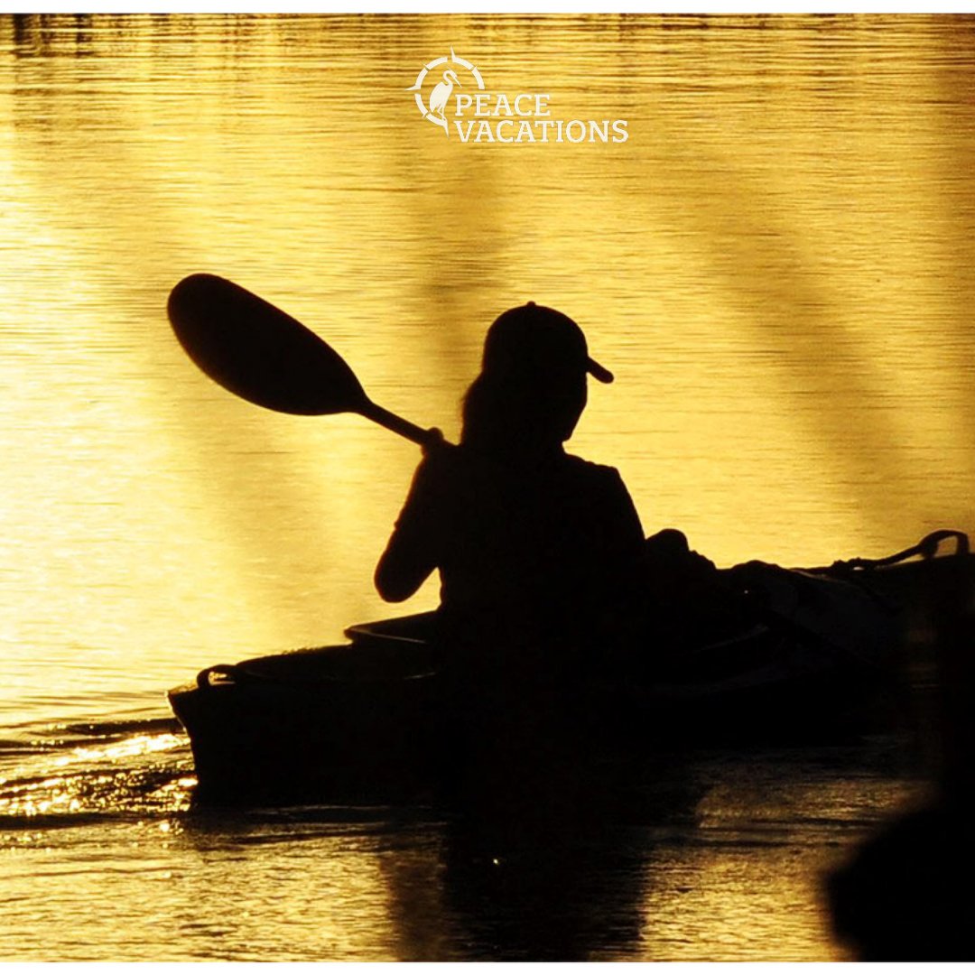 DebRentals's tweet photo. One of the best ways to enjoy the natural beauty of the lowcountry is to jump right in. Look into renting some kayaks or paddle boards for your next visit with us!

#lowcountry #kayak #peacevacations #debordieurentals https://t.co/8iqqNi9rvx