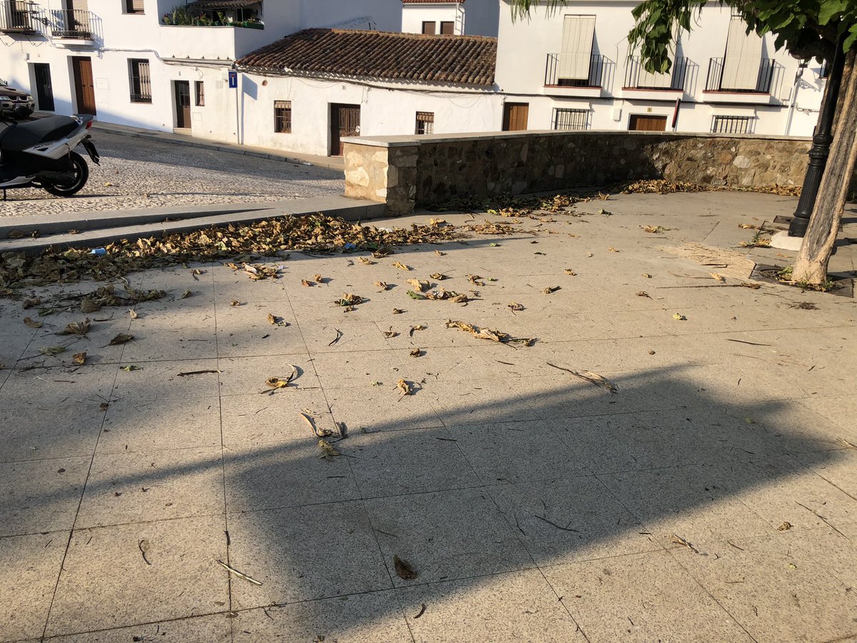 maroto35's tweet photo. @AytoAracena si esto en vez de ser Santo Domingo, fuera el Paseo, tb estaría con esta mierda? Aqui no hay turistas, pero tb juegan niños y se sientan personas. No teneis verguenza ninguna.Dejad de cuidar al turismo,y cuidar un poco más a los que viven aquí 365 dias.SIN VERGUENZAS https://t.co/ykqFs5ec8i