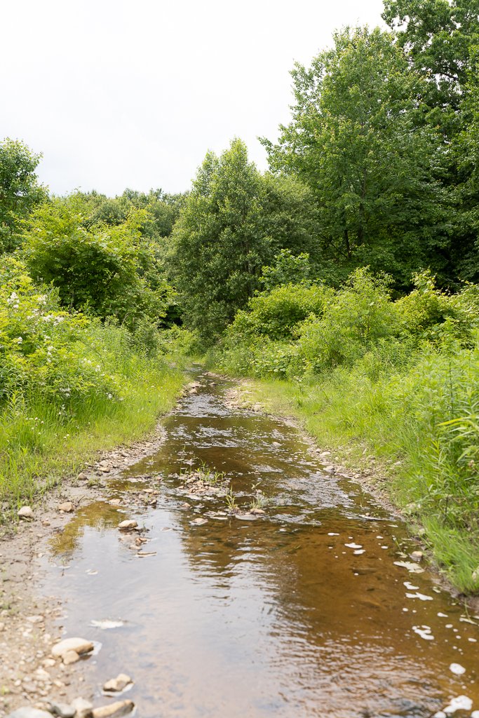 Design fellows Zitong Huang and Sanjana Purohit are working with the Ramapough-Lenape Turtle Clan to develop the concept design for a new sustainable community in the New Jersey highlands. Clan leaders recently led our team on a site visit to orient the team to the land.