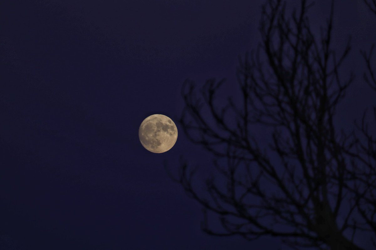 ____gabri3l____'s tweet photo. La super lune en images https://t.co/LQEwA7SCAw
