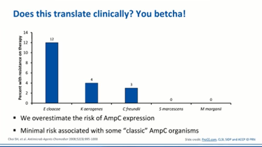 cynth_ID's tweet photo. Drop SPACE/SPICE! @OncIDPharmd presents clinical data showing we overestimate the risk of ampC. Check out @IDSAInfo guidance for treatment recs. HECK-Yes! #MedTwitter #IDTwitter #TwitteRx @SIDPharm @accpinfdprn @CLSI_LabNews @ProCEhealth https://t.co/XzPsKyCFOf