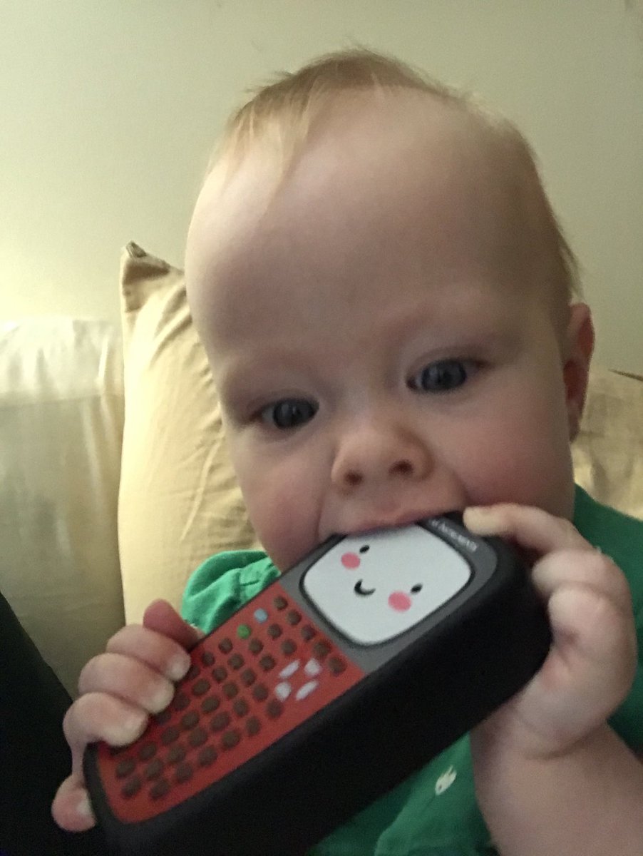 Mr. Bird tweet media